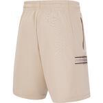 Шорты Li-Ning Wade | AKSU133-5