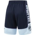 Баскетбольные шорты Li-Ning BadFive | AAPU021-6