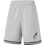 Баскетбольные шорты Li-Ning | AAPU031-11