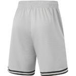 Баскетбольные шорты Li-Ning | AAPU031-11