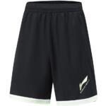 Баскетбольные шорты Li-Ning | AAPU031-1
