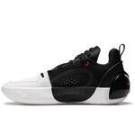 Баскетбольные кроссовки Li-Ning Wade All City 12 Encore | ABAU029-2