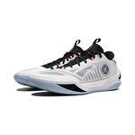 Баскетбольные кроссовки Li-Ning Wade Ice Blood 2 | ABPU017-6