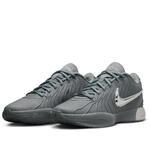 Баскетбольные кроссовки Nike LeBron 21 | HF5352-001