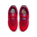 Баскетбольные кроссовки Nike Lebron 21 GS | FN4305-600