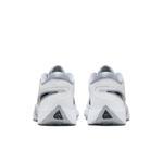 Баскетбольные кроссовки Nike Giannis Zoom Freak 6 | FJ7792-102