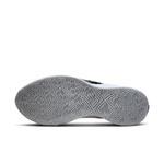Баскетбольные кроссовки Nike Giannis Zoom Freak 6 | FJ7792-102