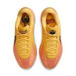 Баскетбольные кроссовки Nike Zoom Freak 6 | FJ7792-601