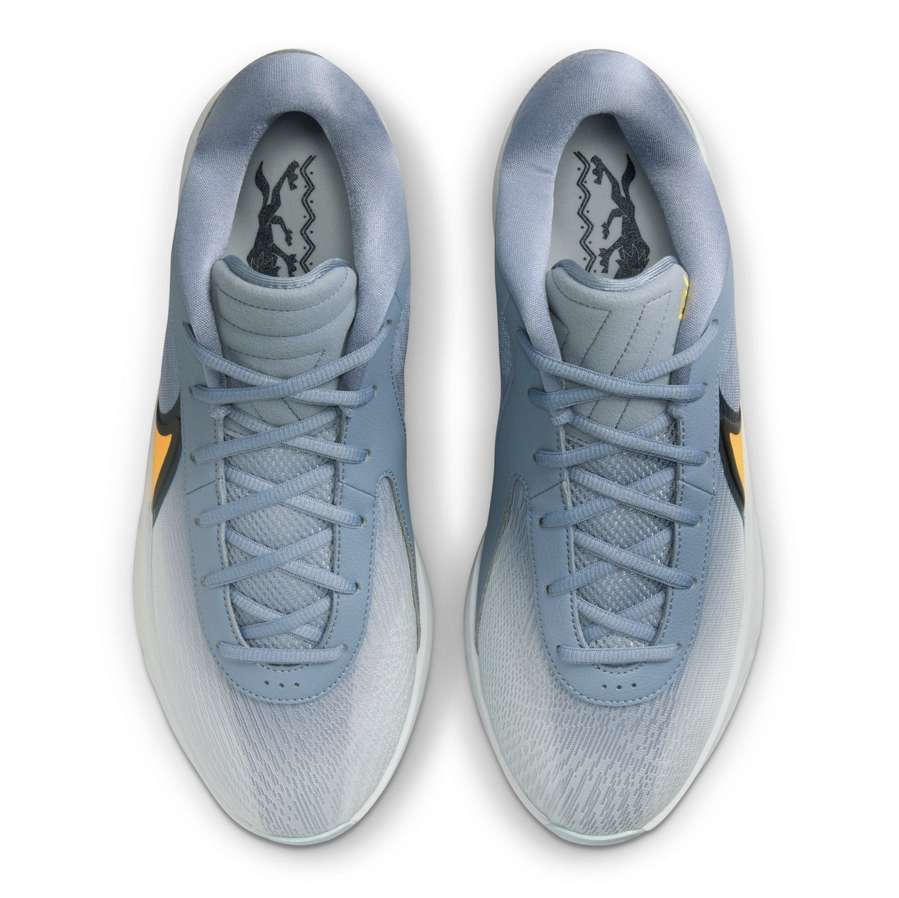 Купить Баскетбольные кроссовки Nike Zoom Freak 6 | FJ7792-400 в Москве или заказать доставку на Slamdunk.su