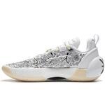 Баскетбольные кроссовки Li-Ning Wade All City 12 Encore | ABAU051-4
