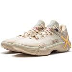 Баскетбольные кроссовки Li-Ning Wade Shadow 6 | ABPU029-6
