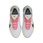 Баскетбольные кроссовки Nike LeBron 22 | FZ1094-101