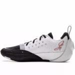 Баскетбольные кроссовки Li-Ning Wade All City 13 | ABAV001-3