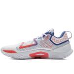 Баскетбольные кроссовки Li-Ning BadFive Dominator I | ABFV003-1