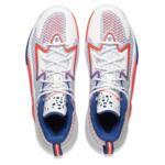 Баскетбольные кроссовки Li-Ning BadFive Dominator I | ABFV003-1