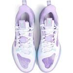 Баскетбольные кроссовки Li-Ning Wade Ice Blood 2 V2 | ABPV001-4