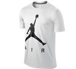 Футболка Jordan Jumpman Air Pearlescent Tee | 683301-100