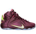 Баскетбольные кроссовки Nike Lebron 12 "Double Helix" | 684593-607