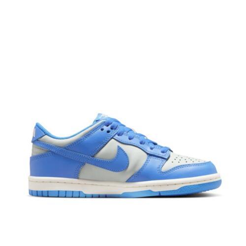 Кроссовки Nike Dunk Low GS 