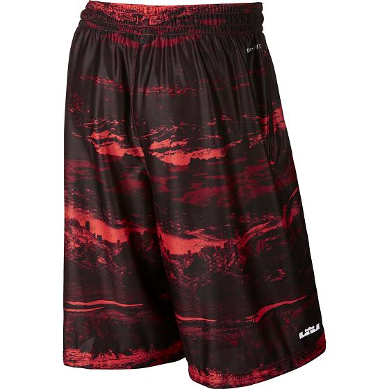 Купить Шорты LeBron Ultimate Elite | 686164-696 в Москве или заказать доставку на Slamdunk.su