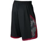 Шорты Jordan Flight Printed Perforated | 688529-011