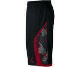 Шорты Jordan Flight Printed Perforated | 688529-011