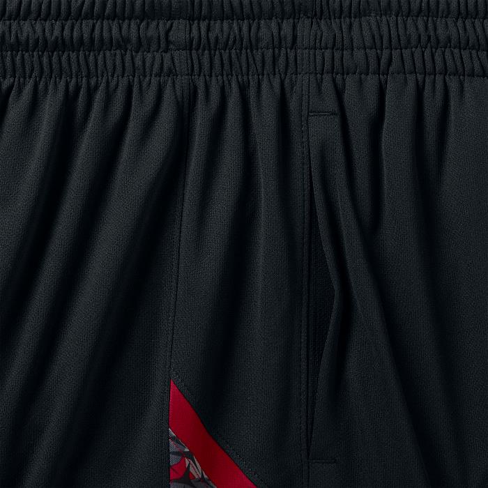 Купить Шорты Jordan Flight Printed Perforated | 688529-011 в Москве или заказать доставку на Slamdunk.su