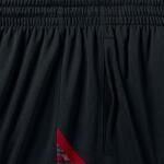 Шорты Jordan Flight Printed Perforated | 688529-011