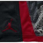 Шорты Jordan Flight Printed Perforated | 688529-011