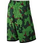 Шорты Jordan Flight Printed | 688530-010