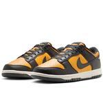 Кроссовки Nike Dunk Low | HF5441-700