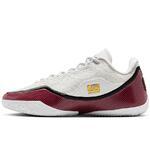 Баскетбольные кроссовки Nike LeBron XXIII | IB9563-100