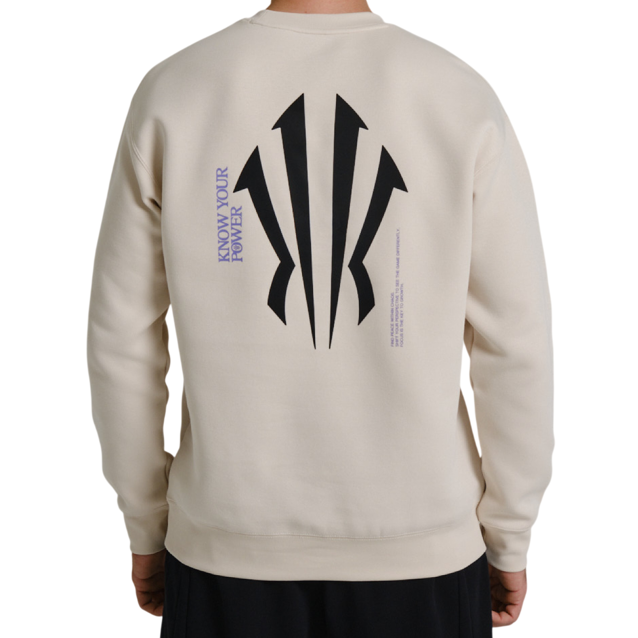 Купить Толстовка Anta KAI | 872531712-1 в Москве или заказать доставку на Slamdunk.su