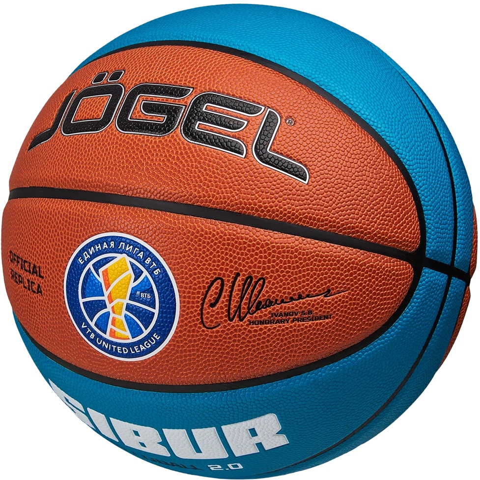 Купить Баскетбольный JOGEL Pro Training ECOBALL 2.0 Replica №5  | ЦБ-00003279 в Москве или заказать доставку на Slamdunk.su