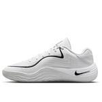Баскетбольные кроссовки Nike Precision 8 Low  | IH1104-100