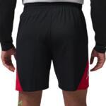Баскетбольные шорты Jordan Sport MenS Dri-Fit  | IQ5775-010