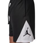 Баскетбольные шорты Jordan Sport MenS Dri-Fit  | IQ5775-011