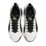 Баскетбольные кроссовки Nike Giannis Immortality 5 | IM5130-100