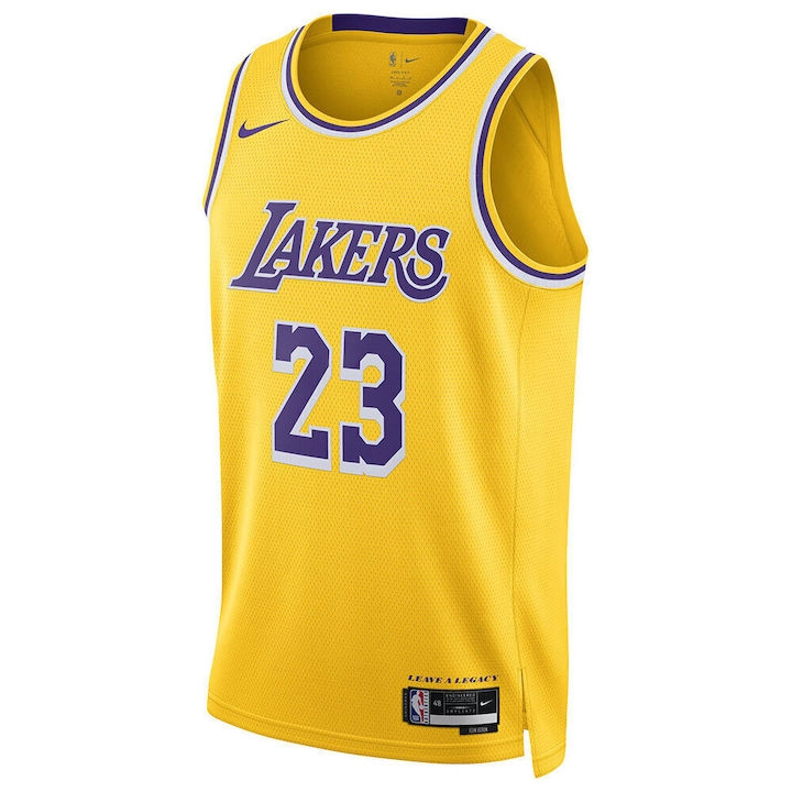 Купить Баскетбольная майка Los Angeles Lakers  | DN2009-733 в Москве или заказать доставку на Slamdunk.su