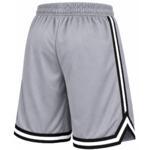 Баскетбольные шорты Nike DNA Men's Dri-FIT | FN2651-065
