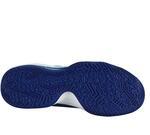 Баскетбольные кроссовки Nike Air Max Audacity TB | 704920-404