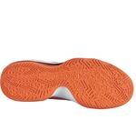 Баскетбольные кроссовки Nike Air Max Audacity TB | 704920-801