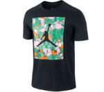 Футболка Jordan Jumpman Air Paradise Tee | 716330-010