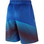 Шорты Nike Elite Reveal | 718386-480