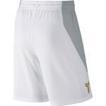 Шорты Nike Kobe Hyperelite Protect Short | 718941-101