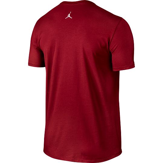 Купить Футболка Jordan Since 1985 | 725021-687 в Москве или заказать доставку на Slamdunk.su