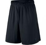 Шорты Nike Dry Training | 742517-010