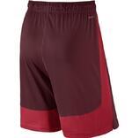 Шорты Nike Dry Training | 742517-677
