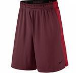 Шорты Nike Dry Training | 742517-677