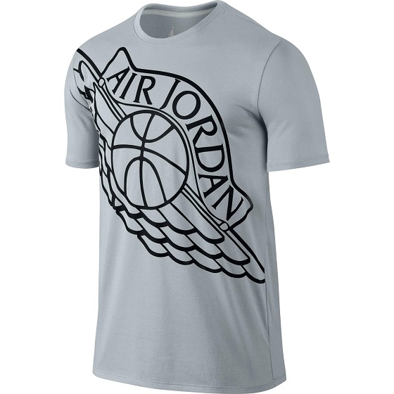 Купить Футболка Air Jordan Wingspan | 748550-012 в Москве или заказать доставку на Slamdunk.su